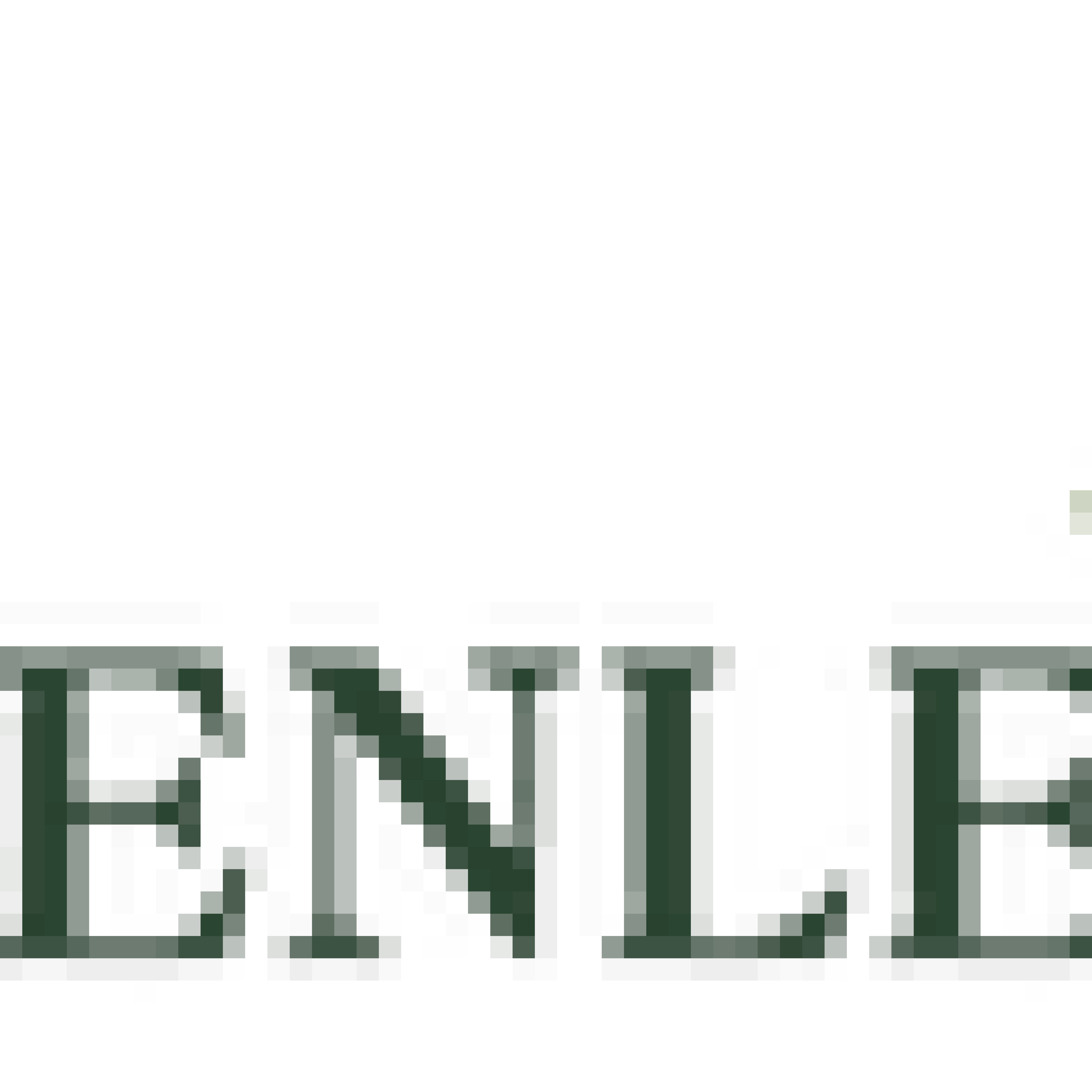 greenlead_logo_rec-removebg-preview_1_optimized